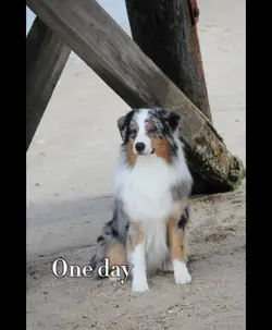 One day or…