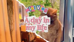 Vlog adayinmylife