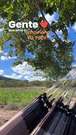 Roça, fazenda, campo