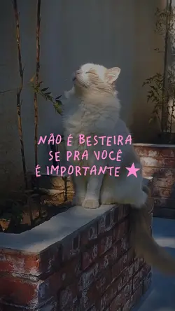 Vídeo com frases 💞⏳⭐️