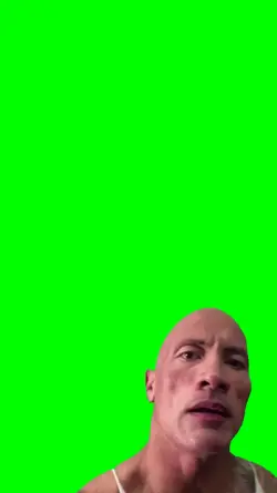 The Rock Eyebrow
