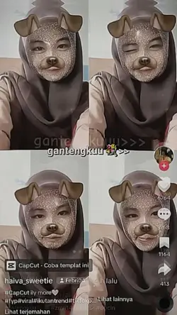 uf i'm handsome 