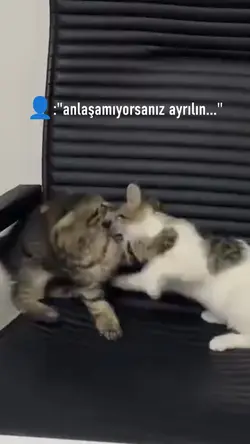 aklından çıkar