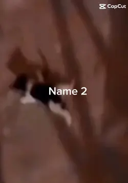 Are you 1 or 2
