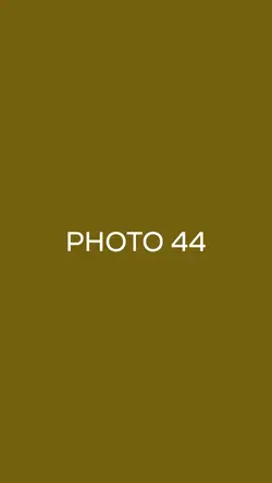 Snapshots | Photos