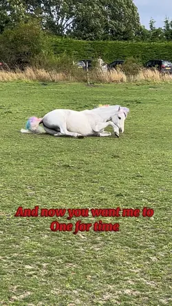 Horse abuser💔