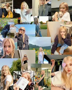 rosé ros