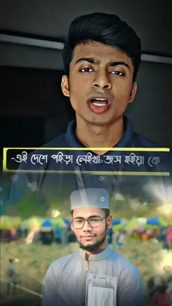 new voice 