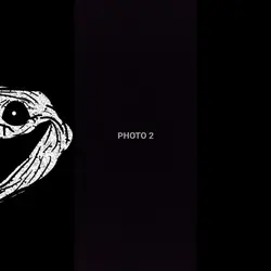 Troll Face Phonk