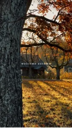 Welcome autum