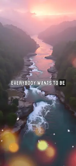 Everybody 