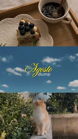 Agosto dump