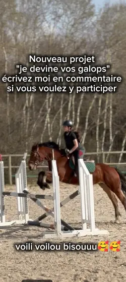 nouveau projet equi