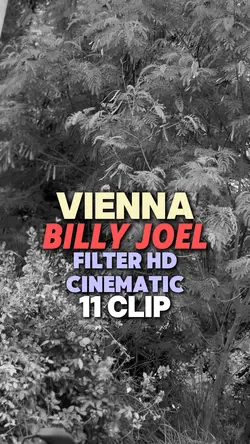 Vienna|BillyJoel
