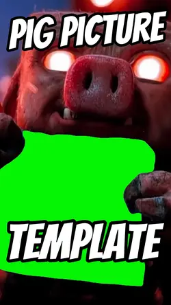 Pig Picture