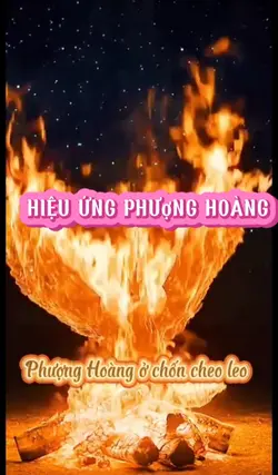 1 Ảnh phượng hoàng