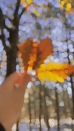 Slowmo India 1video 