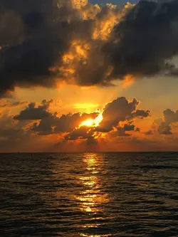 Filter senja 