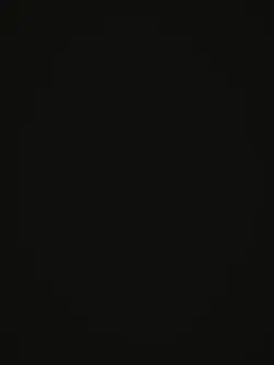 pppp
