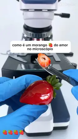 MORANGO DO AMOR 