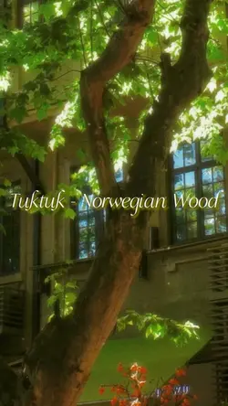 Tuktuk - Norwegian W