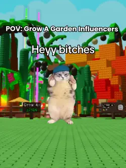 ROBLOX EDIT!