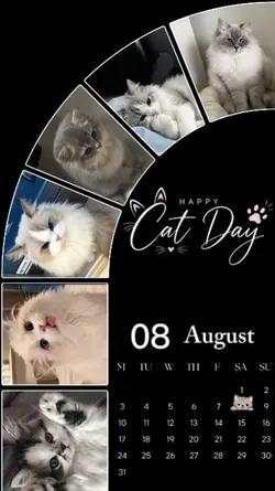 HAPPY CAT DAY
