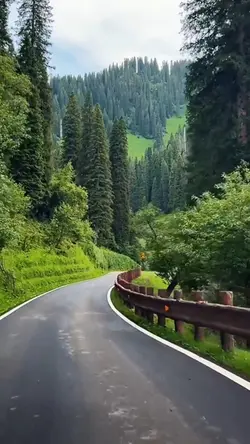 Mini Vlog