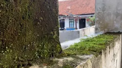 Sinematik HD Jernih