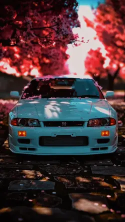 Phonk TEMPLATE ๐ฅ