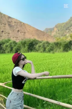 រដូវការដូចឆ្នាំក្រោយ
