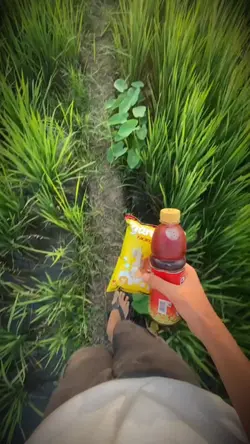 #gusiqdam