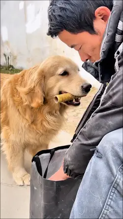 Unique and humorous