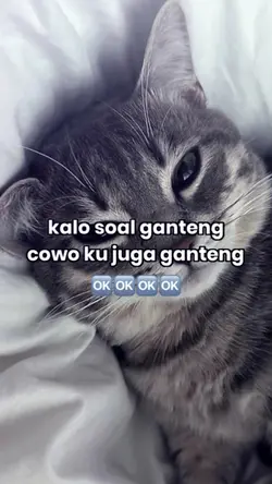 cowoku juga ganteng 