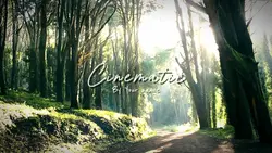 Cinematic