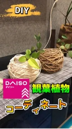 ダイソー商品でおしゃれな鉢カバー　
