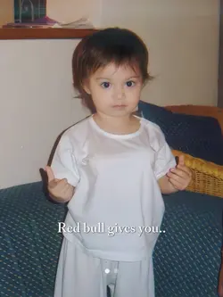 Red bull gives you