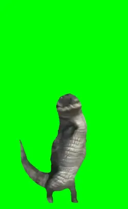 Alligator dancing