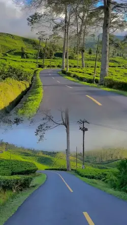 2 video 1 frame