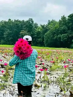  love  Song Vairal