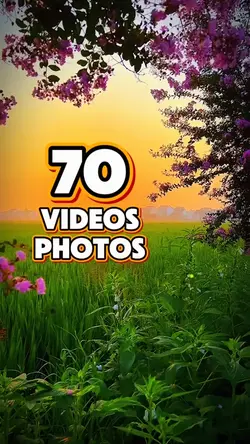 70 videos or photos 