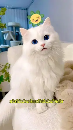 สวัสดีวันจันทร์