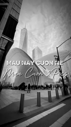 MẪU NÀY CUỐN NÈ 
