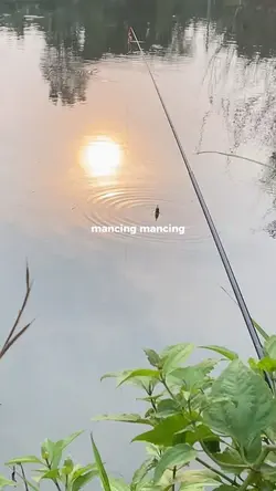 Mancing mania