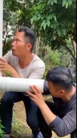 Ngintip Cinta