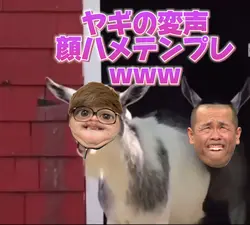 ヤギの変声顔ハメテンプレwww