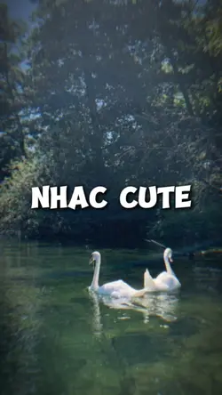 Beat cute