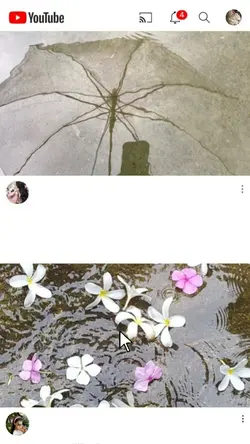 Rainy Day