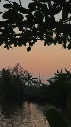 Mẫu 1 video ảnh 
