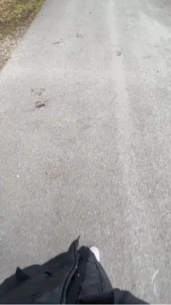 Lieblings lüge 